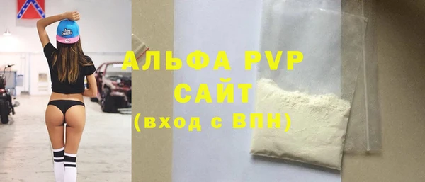 гашик Богданович