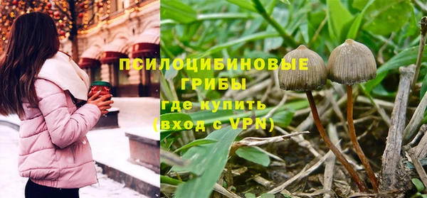 гашик Богданович