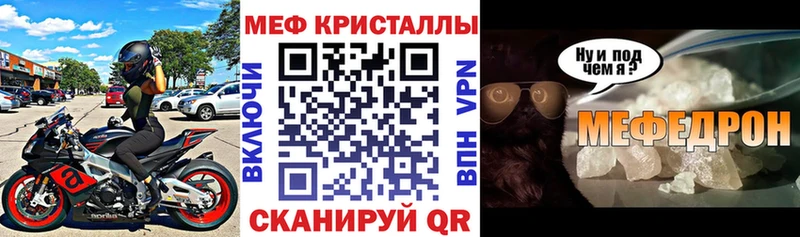 МЯУ-МЯУ мяу мяу  mega   Светогорск 